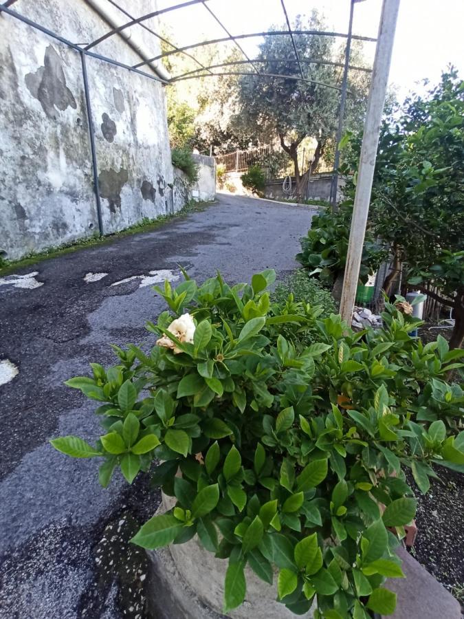 Villa La Terrazza Quisisana Sorrento Coast Castellammare di Stabia Exterior foto